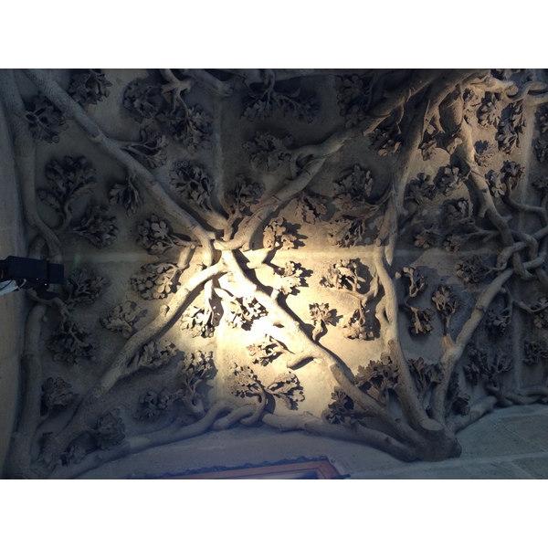 รูปถ่าย ฝรั่งเศส(France) ปารีส(Paris) โรงแรมเดอบูร์กอญ(Hotel de Bourgogne) 2013-06 29