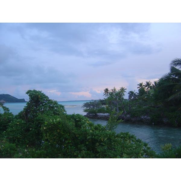รูปถ่าย เฟรนช์โพลี่นีเซีย(Polynesia) โรงแรมเลอเมอริเดียน โบราโบรา(Meridien Bora Bora Hotel) 2006-04 213