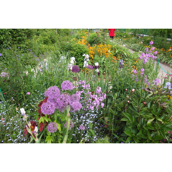 รูปถ่าย ฝรั่งเศส(France) ฌีแวร์นี(Giverny) 2013-06 111