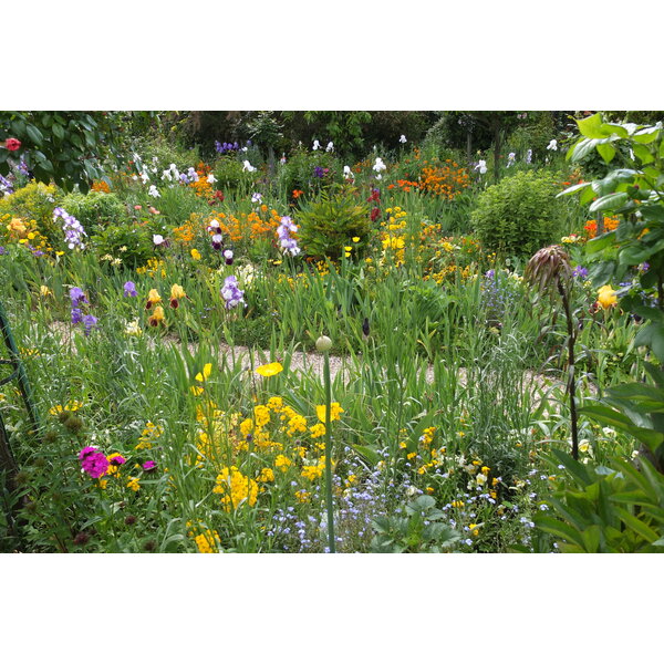 รูปถ่าย ฝรั่งเศส(France) ฌีแวร์นี(Giverny) 2013-06 89