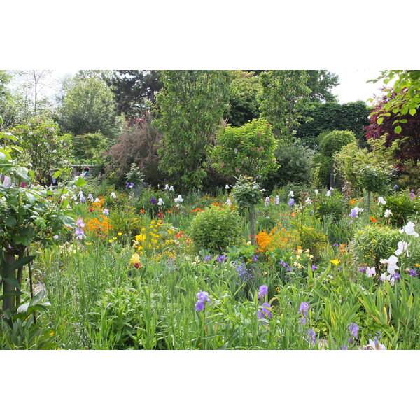 รูปถ่าย ฝรั่งเศส(France) ฌีแวร์นี(Giverny) 2013-06 57