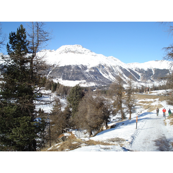 รูปถ่าย สวิสเซอร์แลนด์(Switzerland) ปองเทรซีน่า(Pontresina) 2007-01 16