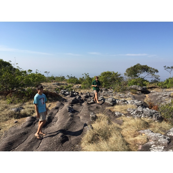 รูปถ่าย ไทย(Thailand) อุทยานแห่งชาติภูหินร่องกล้า(Phu Hin Rong Kla National Park) 2014-12 212