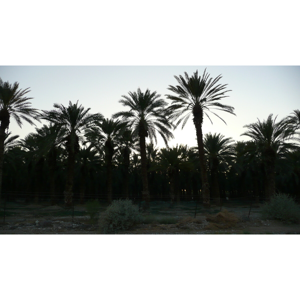 รูปถ่าย อิสราเอล(Israel) ทะเลดำ(Dead Sea) 2007-06 141