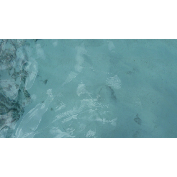 รูปถ่าย เซเชลส์(Seychelles) เกาะโกโก้(Coco Island) 2011-10 75