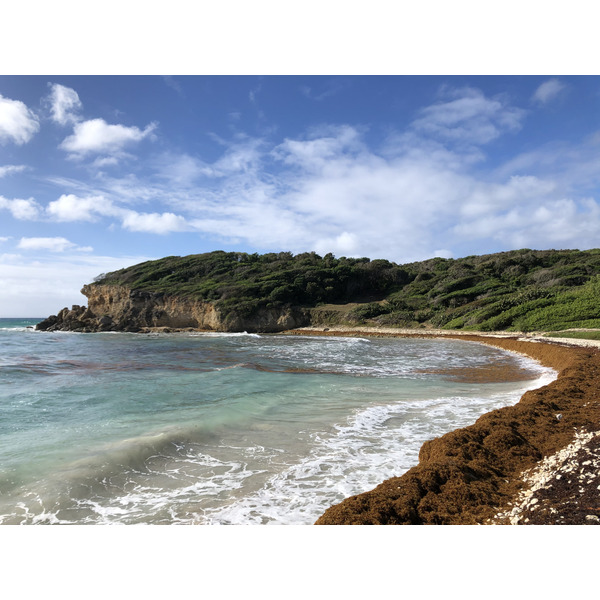 รูปถ่าย กวาเดอลูป(Guadeloupe) แซ็งตาน(Sainte Anne) 2021-02 12