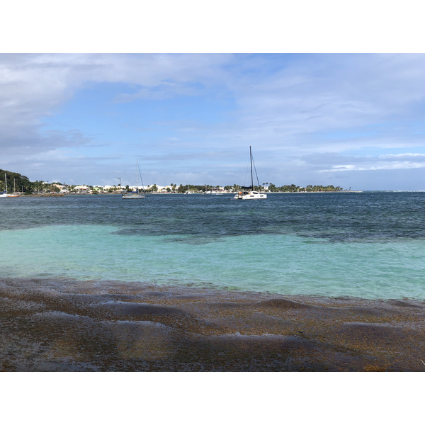 รูปถ่าย กวาเดอลูป(Guadeloupe) หาดลาการาแวล(La Caravelle Beach) 2021-02 22
