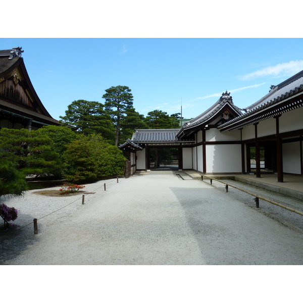 รูปถ่าย ญี่ปุ่น(Japan) เกียวโต(Kyoto) พระราชวังหลวงเกียวโต(Kyoto Imperial Palace) 2010-06 34