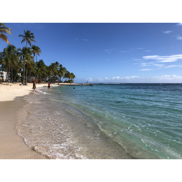 รูปถ่าย กวาเดอลูป(Guadeloupe) หาดลาการาแวล(La Caravelle Beach) 2021-02 74