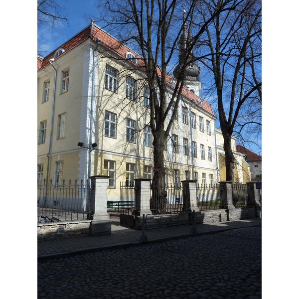 รูปถ่าย เอสโตเนีย(Estonia) ทาลลินน์(Tallinn) 2009-04 65