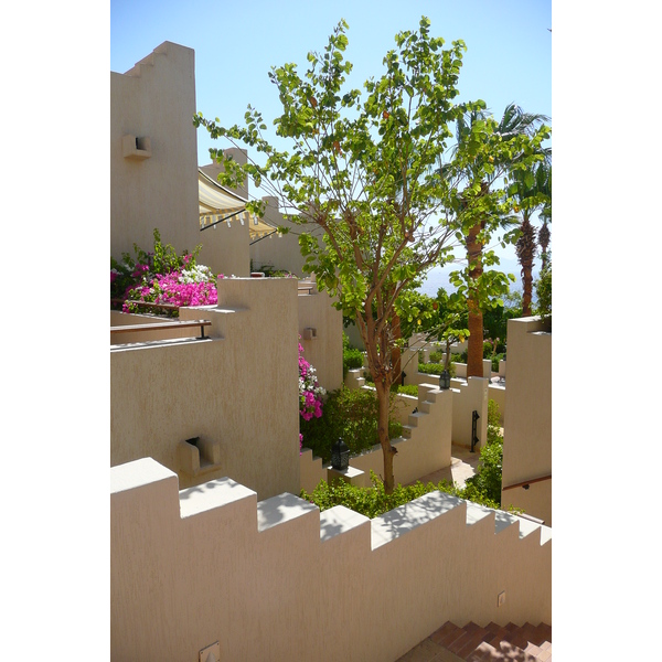 รูปถ่าย อียิปต์(Egypt) ชาร์มเอลชีค(Sharm el Sheikh) โรงแรมโฟร์ซีซันส์(Four Seasons Hotel) 2008-06 45