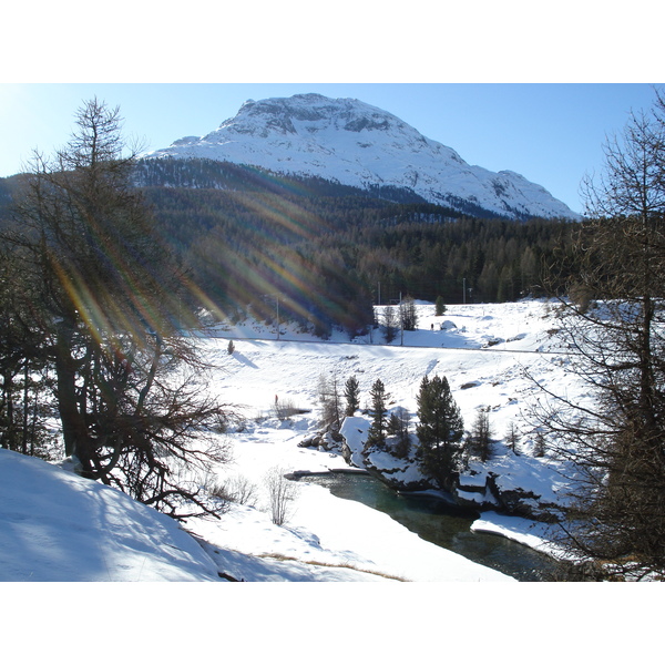 รูปถ่าย สวิสเซอร์แลนด์(Switzerland) ปองเทรซีน่า(Pontresina) 2007-01 141