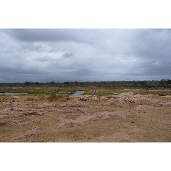 รูปถ่าย แอฟริกาใต้(South Africa) อุทยานแห่งชาติครูเกอร์(Kruger National Park) แม่น้ำครอกโคไดล์(Crocodile River) 2008-09 49