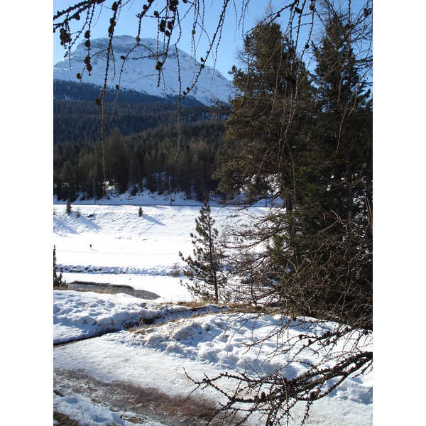 รูปถ่าย สวิสเซอร์แลนด์(Switzerland) ปองเทรซีน่า(Pontresina) 2007-01 15