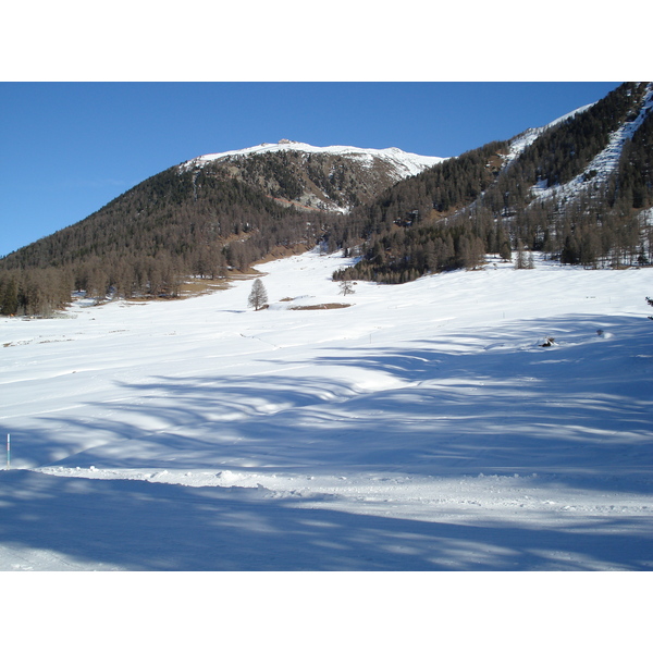 รูปถ่าย สวิสเซอร์แลนด์(Switzerland) ปองเทรซีน่า(Pontresina) 2007-01 46