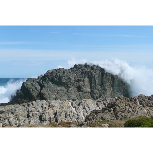 รูปถ่าย แอฟริกาใต้(South Africa) อุทยานแห่งชาติซิตซิคัมมา(Tsitsikamma National Park) 2008-09 147