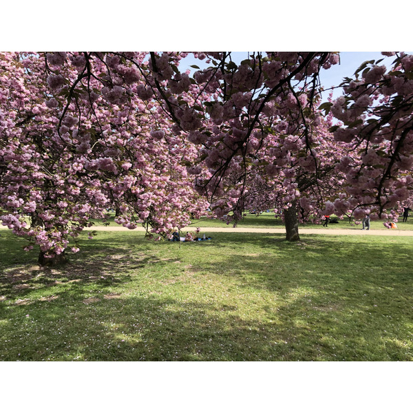 รูปถ่าย ฝรั่งเศส(France) สวนโซ(Parc de Sceaux) 2019-04 20