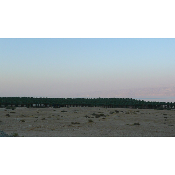 รูปถ่าย อิสราเอล(Israel) ทะเลดำ(Dead Sea) 2007-06 81