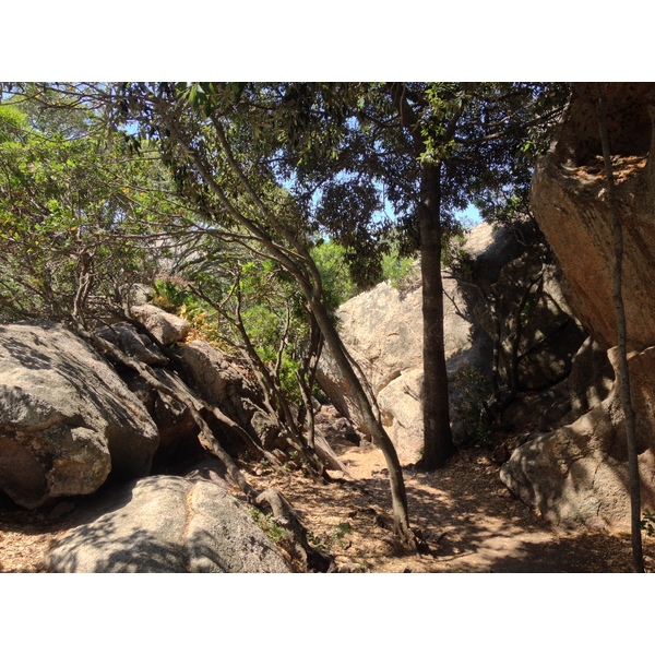 รูปถ่าย อิตาลี(Italy) ซาร์ดิเนีย(Sardinia) หินรูปหมี (รอกชาเดลลอร์โซ)(Roccia dell'Orso) 2015-06 36