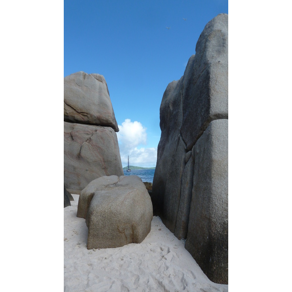 รูปถ่าย เซเชลส์(Seychelles) เกาะโกโก้(Coco Island) 2011-10 56