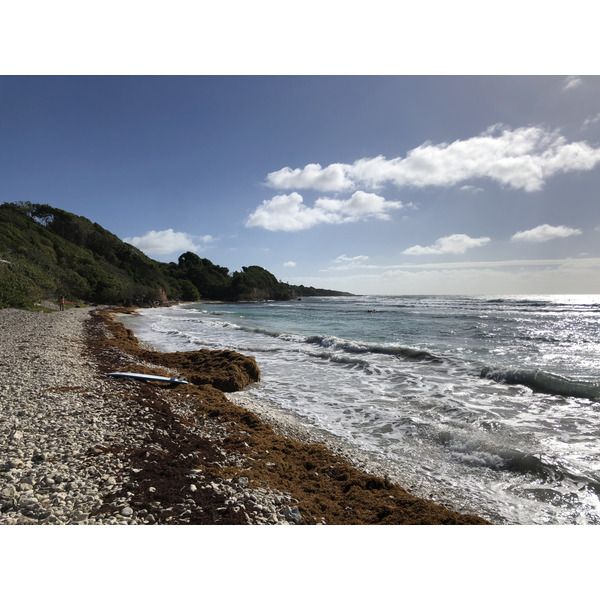 รูปถ่าย กวาเดอลูป(Guadeloupe) แซ็งตาน(Sainte Anne) 2021-02 22