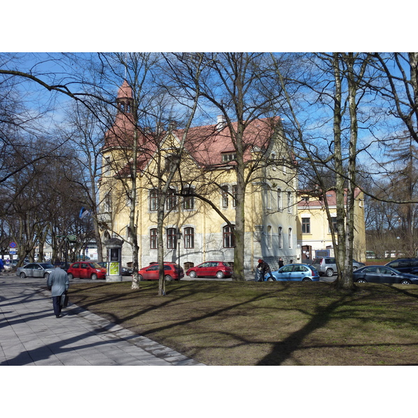 รูปถ่าย เอสโตเนีย(Estonia) ทาลลินน์(Tallinn) 2009-04 54