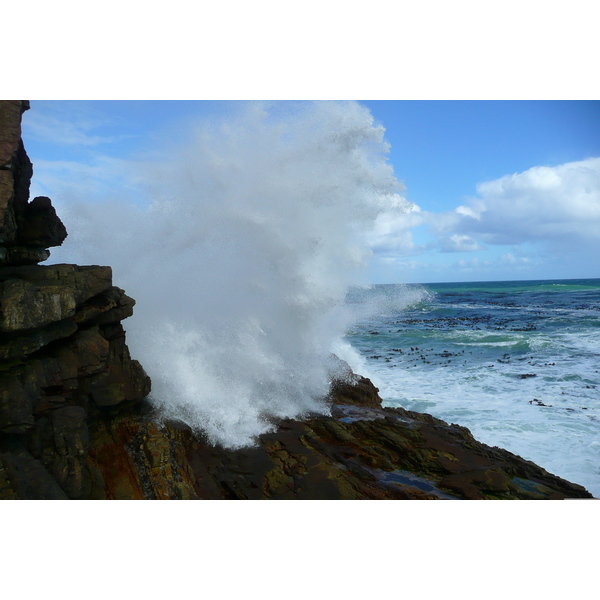 รูปถ่าย แอฟริกาใต้(South Africa) แหลมกู๊ดโฮป(Cape of Good Hope) แหลมเคปพอยต์(Cape Point) 2008-09 37