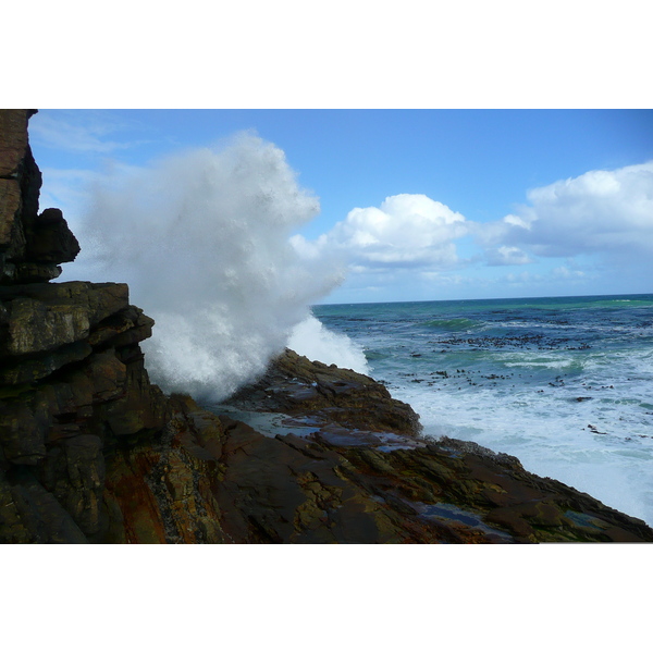รูปถ่าย แอฟริกาใต้(South Africa) แหลมกู๊ดโฮป(Cape of Good Hope) แหลมเคปพอยต์(Cape Point) 2008-09 32