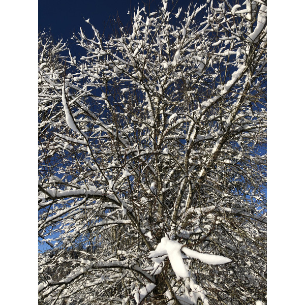 รูปถ่าย สวิสเซอร์แลนด์(Switzerland) ครองส์-มงตานา(Crans Montana) 2020-12 135