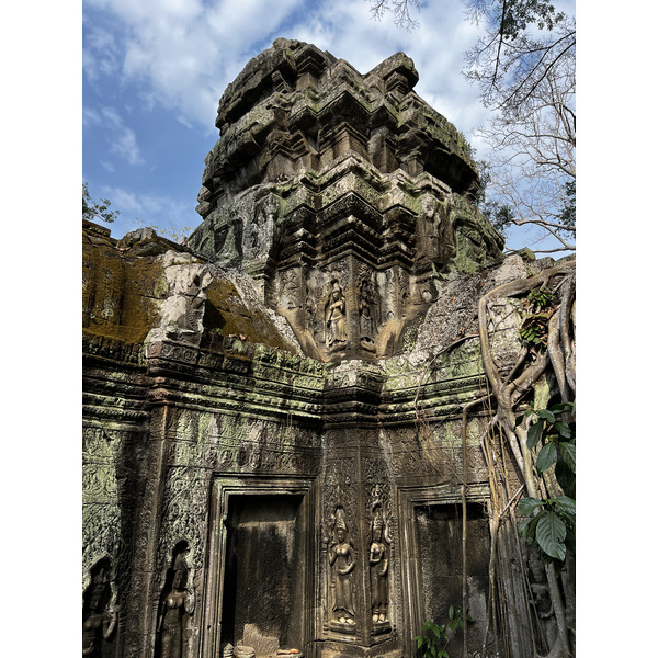 รูปถ่าย กัมพูชา(Cambodia) เสียมราฐ(Siem Reap) ปราสาทตาพรหม(Ta Prohm) 2023-01 103