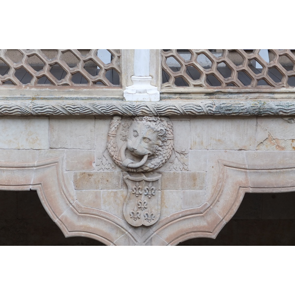 รูปถ่าย สเปน(Spain) ซาลามังกา(Salamanca) 2013-01 183