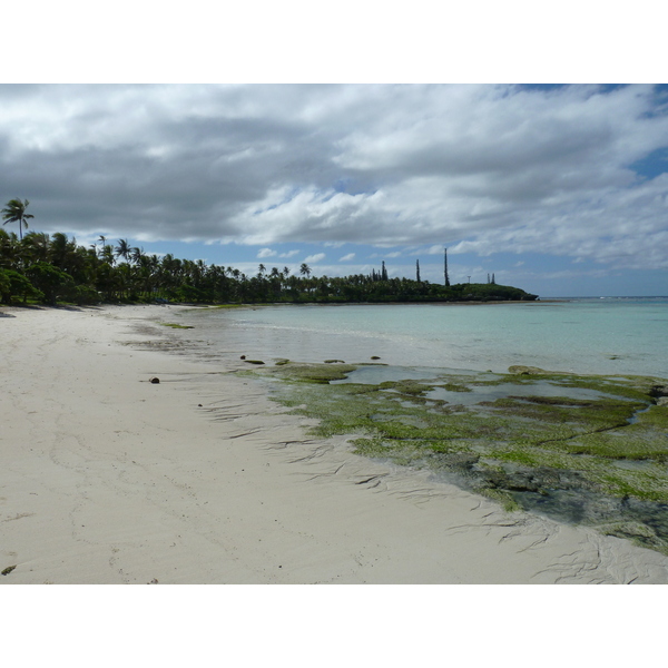 รูปถ่าย นิวแคลิโดเนีย(New Caledonia) เกาะลีฟู(Lifou) หมู่บ้านมู(Mu) 2010-05 9