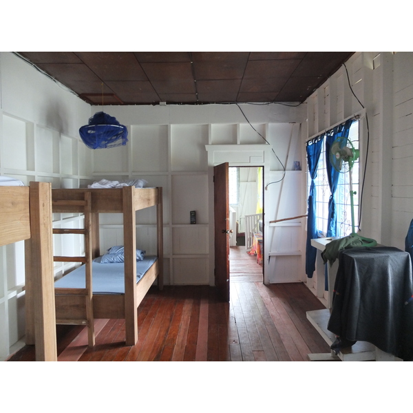 รูปถ่าย คอสตาริกา(Costa Rica) ปวยร์โตเบียโฆเดตาลามังกา(Puerto Viejo de Talamanca) 2015-03 141