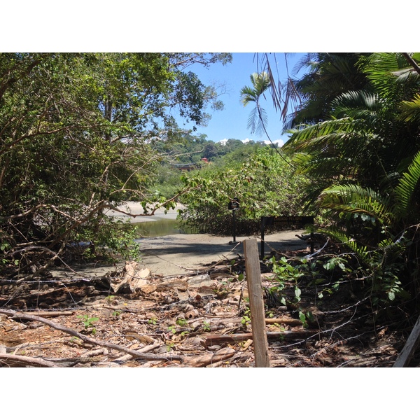 รูปถ่าย คอสตาริกา(Costa Rica) มานวยล์อันโตนีโอ(Manuel Antonio) 2015-03 496