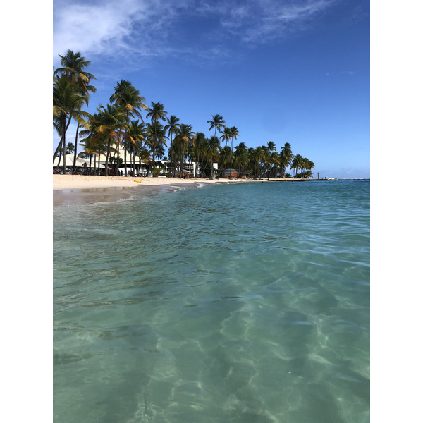 รูปถ่าย กวาเดอลูป(Guadeloupe) หาดลาการาแวล(La Caravelle Beach) 2021-02 110
