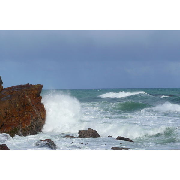 รูปถ่าย แอฟริกาใต้(South Africa) แหลมกู๊ดโฮป(Cape of Good Hope) แหลมเคปพอยต์(Cape Point) 2008-09 56