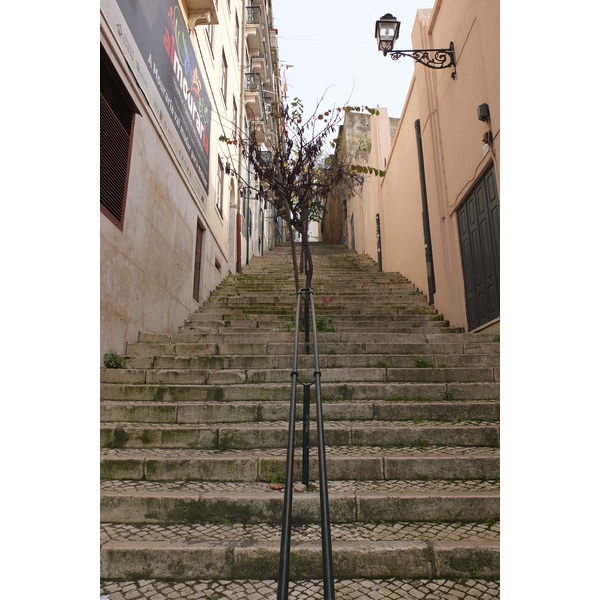 รูปถ่าย โปรตุเกส(Portugal) ลิสบอน(Lisbon) 2013-01 161