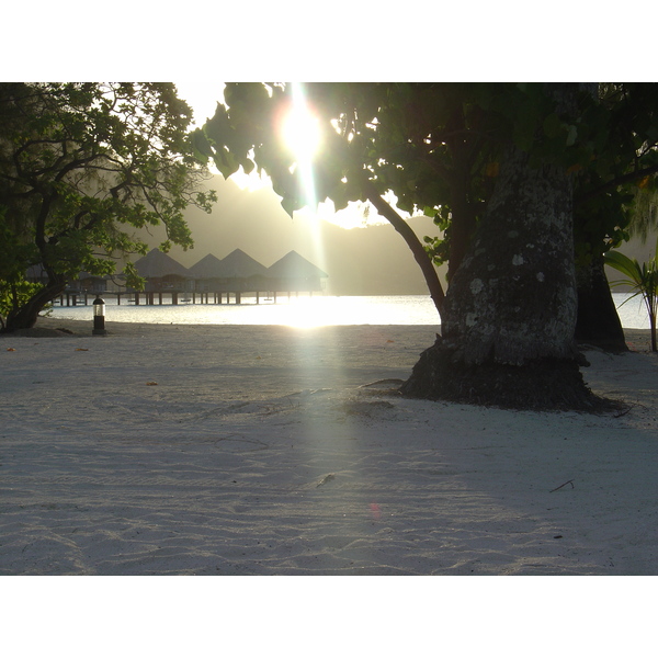 รูปถ่าย เฟรนช์โพลี่นีเซีย(Polynesia) โรงแรมเลอเมอริเดียน โบราโบรา(Meridien Bora Bora Hotel) 2006-04 232