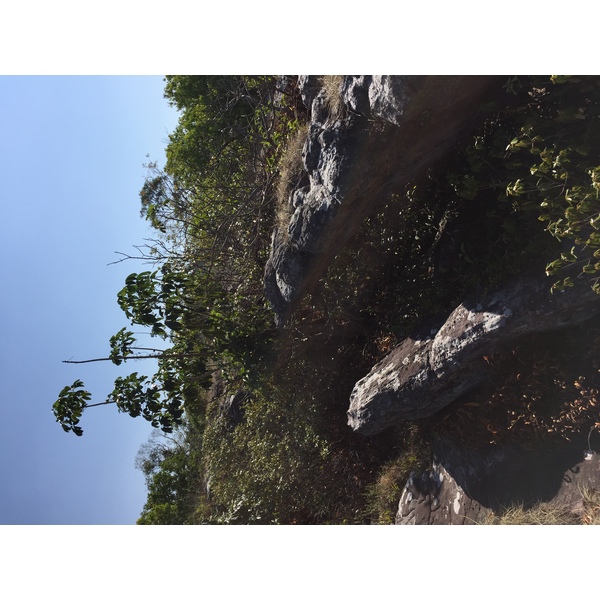 รูปถ่าย ไทย(Thailand) อุทยานแห่งชาติภูหินร่องกล้า(Phu Hin Rong Kla National Park) 2014-12 231