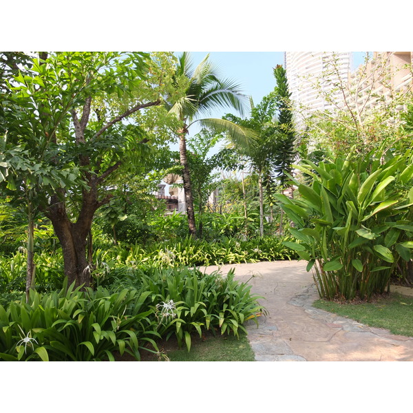 รูปถ่าย ไทย(Thailand) พัทยา(Pattaya) โรงแรมเซ็นทารา(Centara Hotel) 2011-12 57