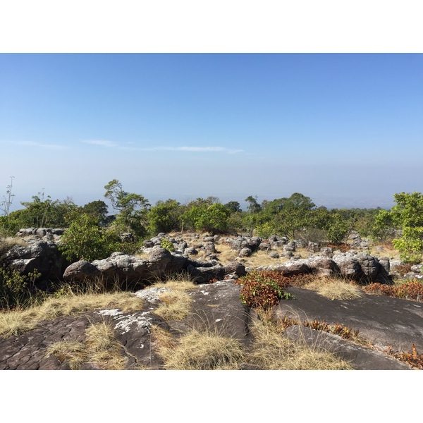 รูปถ่าย ไทย(Thailand) อุทยานแห่งชาติภูหินร่องกล้า(Phu Hin Rong Kla National Park) 2014-12 263