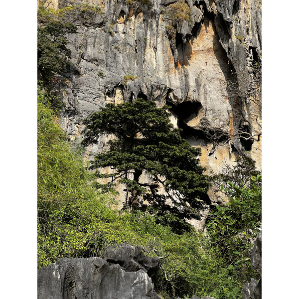 รูปถ่าย ไทย(Thailand) กระบี่(Krabi) 2023-01 171