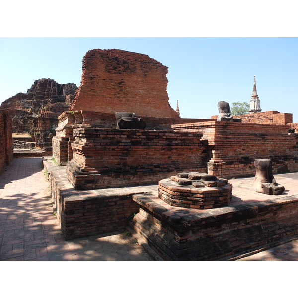 รูปถ่าย ไทย(Thailand) อยุธยา(Ayutthaya) 2011-12 43