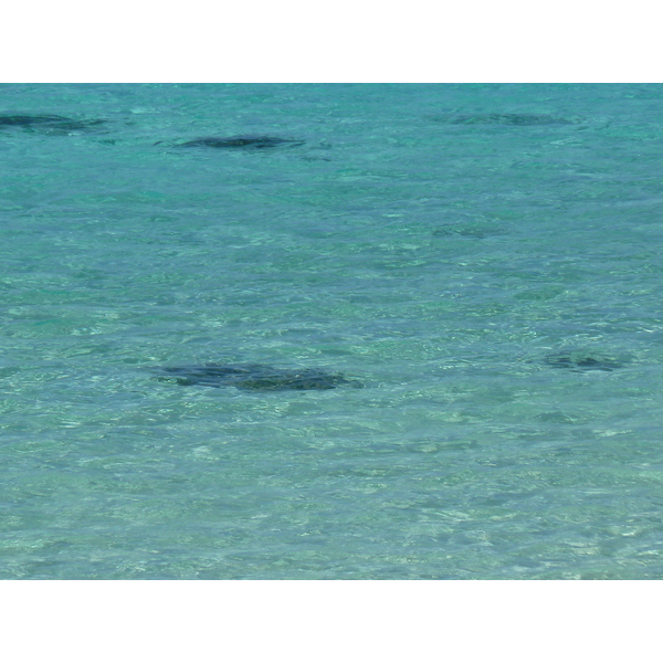 รูปถ่าย นิวแคลิโดเนีย(New Caledonia) เกาะลีฟู(Lifou) หมู่บ้านมู(Mu) 2010-05 8