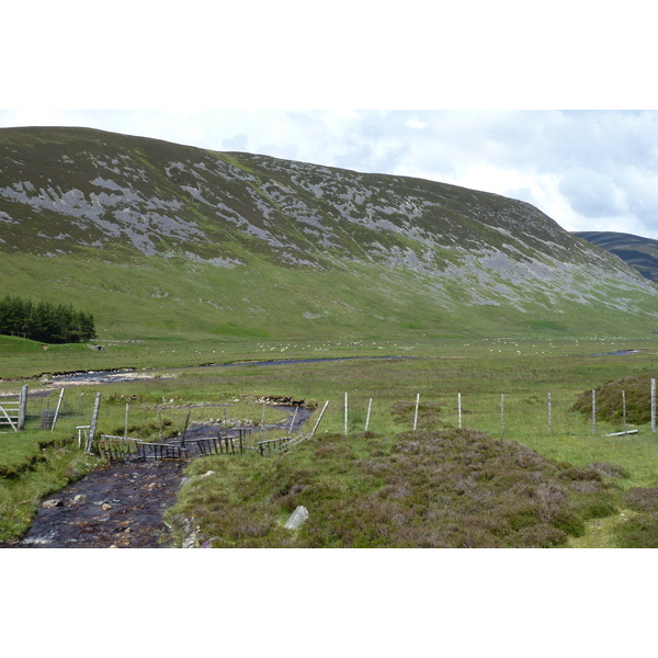 รูปถ่าย อังกฤษ(United Kingdom) อุทยานแห่งชาติแคร์นกอร์มส์(Cairngorms National Park) 2011-07 70