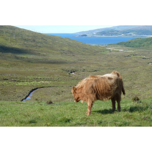 รูปถ่าย อังกฤษ(United Kingdom) เกาะสกาย(Skye) เทือกเขาคูลิน(The Cuillin) 2011-07 79