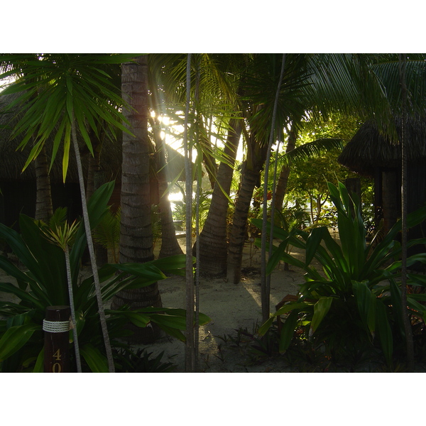 รูปถ่าย เฟรนช์โพลี่นีเซีย(Polynesia) โรงแรมเลอเมอริเดียน โบราโบรา(Meridien Bora Bora Hotel) 2006-04 45