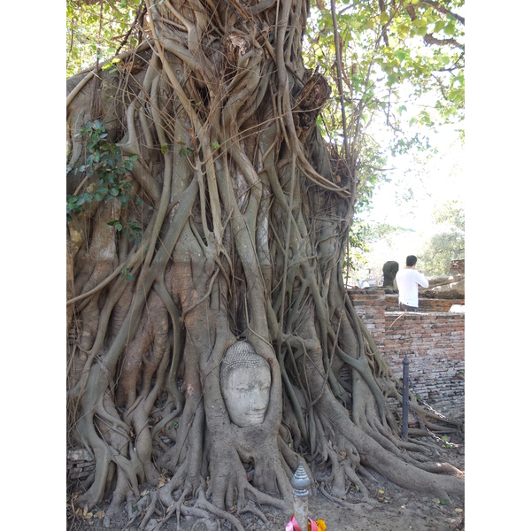 รูปถ่าย ไทย(Thailand) อยุธยา(Ayutthaya) 2011-12 29