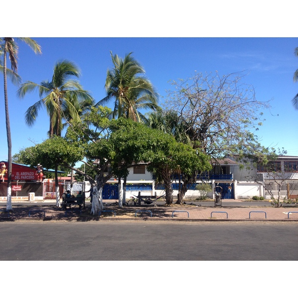 รูปถ่าย คอสตาริกา(Costa Rica) ปุนตาเรนัส(Puntarenas) 2015-03 83