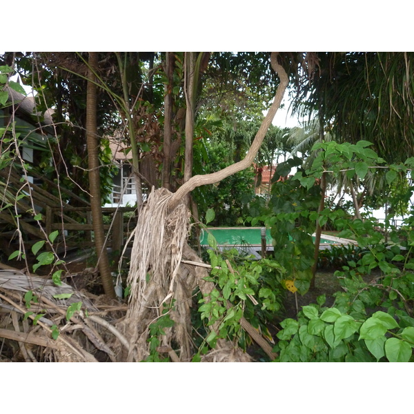 รูปถ่าย ไทย(Thailand) ระยอง(Rayong) 2011-12 30